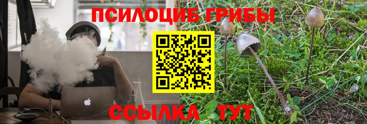наркота  Псилоцибиновые грибы MAGIC MUSHROOMS  Вход с VPN  Кунгур 
