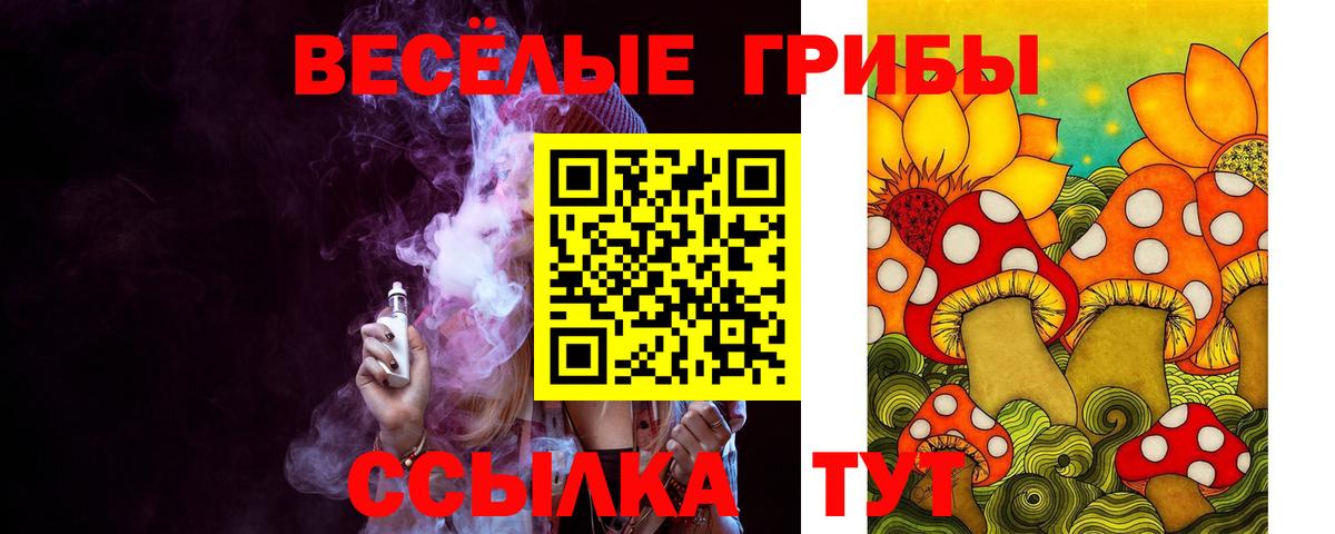 Галлюциногенные грибы ЛСД Кунгур